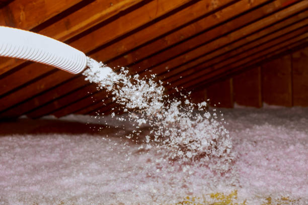 Best Best Insulation Companies  in Butler, IN