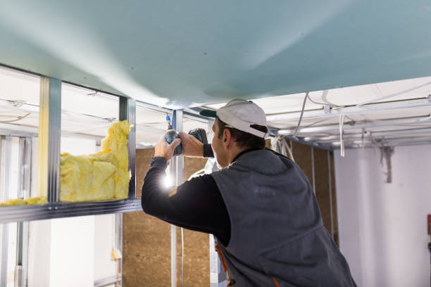 Best Professional Insulation Contractor  in Butler, IN