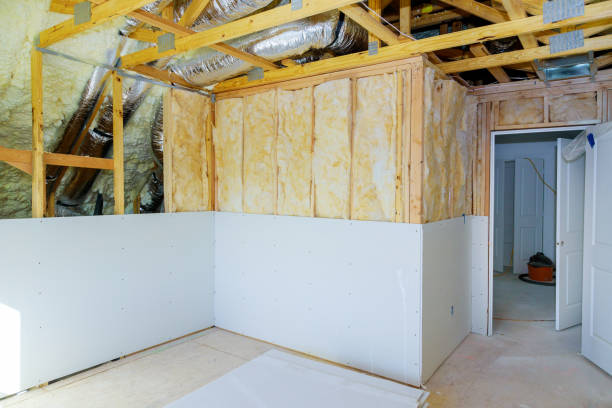 Best Affordable Insulation Services  in Butler, IN