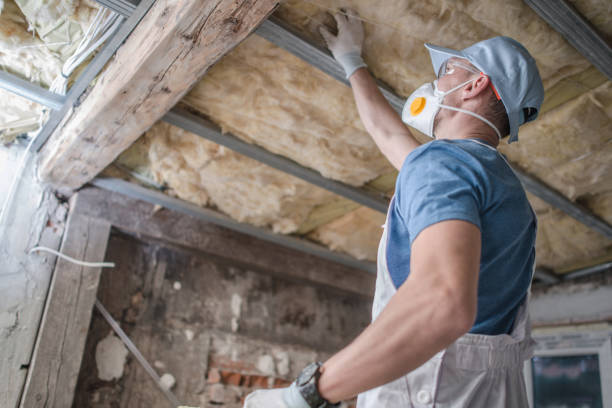 Best Cellulose Insulation  in Butler, IN