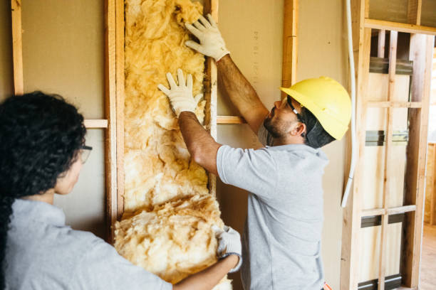 Best Insulation Contractor Near Me  in Butler, IN