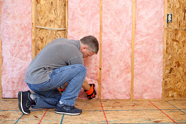 Best Residential Insulation Services  in Butler, IN